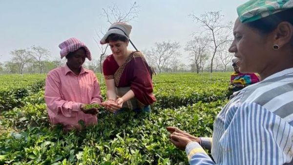 మార్చి 27 న జరగనున్న అసోం ఎన్నికలు .. పట్టు కోసం కాంగ్రెస్ నేతల పాట్లు మార్చి 27 న జరగనున్న అసోం ఎన్నికలు .. పట్టు కోసం కాంగ్రెస్ నేతల పాట్లు