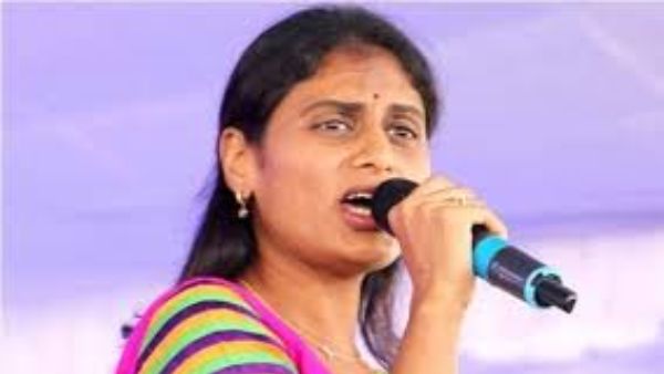 పసుపు బోర్డుపై పిచ్చికుక్కల్లాగా..