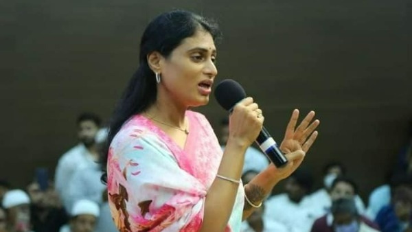 పులివెందుల -పాలేరు