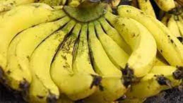  చిరు వ్యాపారి జిలాని..