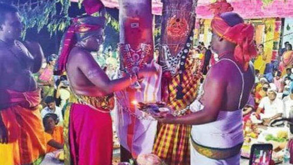 పెళ్లి పత్రికలు పంచి మరీ ఘనంగా చెట్లకు పెళ్లి