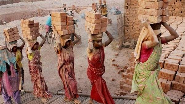 ఐటీ రంగంలో కూడా కార్మిక చట్టాలు..