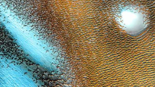 NASA shares image of a sea of blue dunes on Mars taken by the Odyssey orbiter NASA shares image of a sea of blue dunes on Mars taken by the Odyssey orbiter