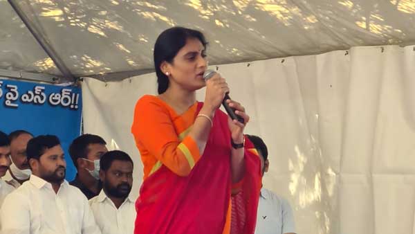 తెలంగాణలో ఉద్యోగాల కోసం విద్యార్థులు ఆత్మహత్యలపై స్పందించిన షర్మిల