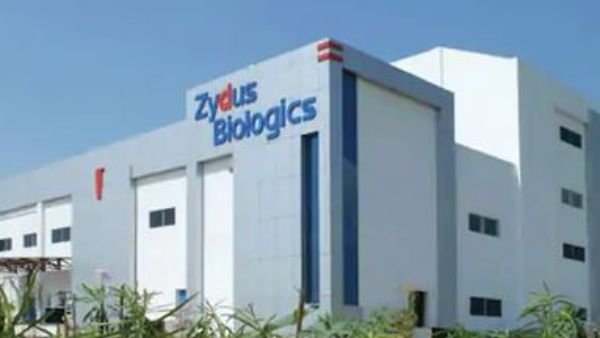 విరాఫిన్ యాంటీవైరల్ డ్రగ్ , కరోనా ప్రారంభంలోనే ఇస్తే సత్ఫలితాలు