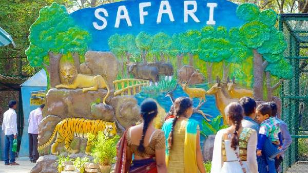 మనుషుల ద్వారా సింహాలకు సోకిందా? మనుషుల ద్వారా సింహాలకు సోకిందా?