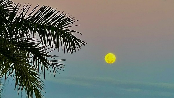  బ్లడ్‌మూన్‌ ఎక్కడ చూడొచ్చు ?