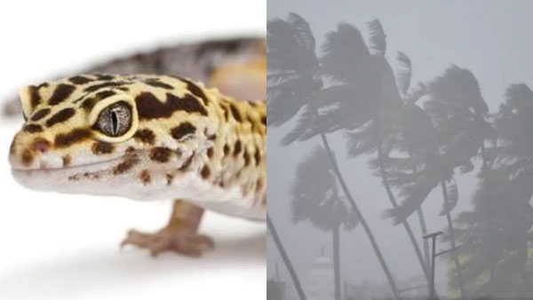 2004నుంచి తుపాన్లకు పేర్లు..