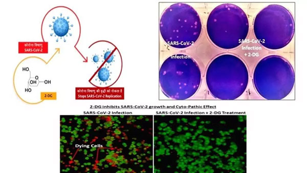 2డీజీ పౌడర్ను నీటిలో కలిపి తాగాలి.. 2డీజీ పౌడర్ను నీటిలో కలిపి తాగాలి..