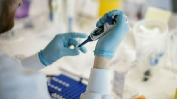 తెలంగాణలో కరోనా కాస్త తగ్గుముఖం