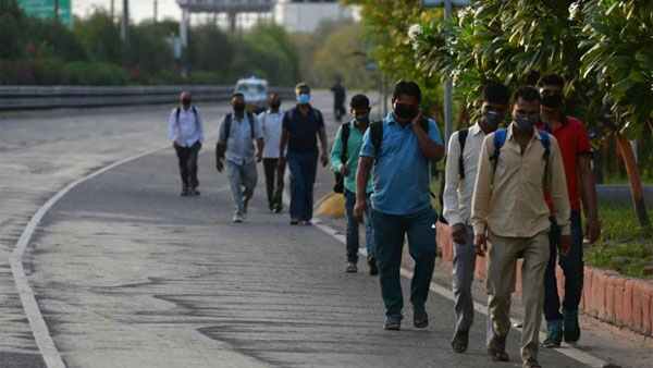 20.48 పాజిటివ్ రేట్