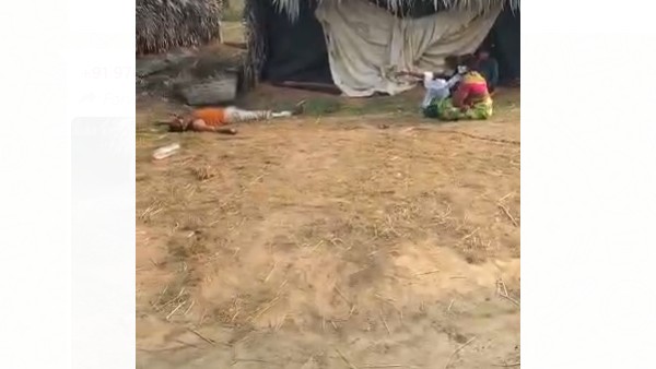 కళ్ళముందే తమ వాళ్ళు కడతేరిపోతున్నా నిస్సహాయంగా చూస్తున్న పరిస్థితి