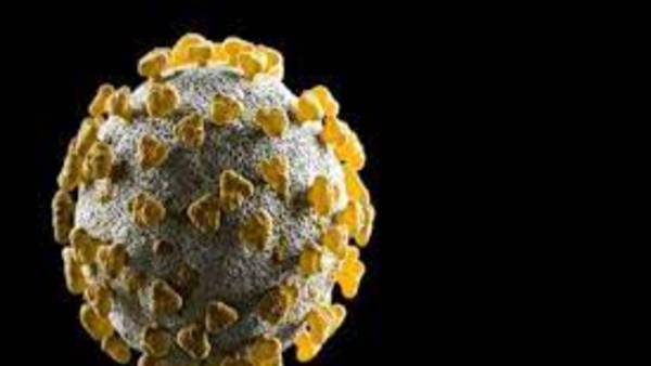 ఆందోళన కలిగిస్తున్న డెల్టా ప్లస్ వేరియంట్