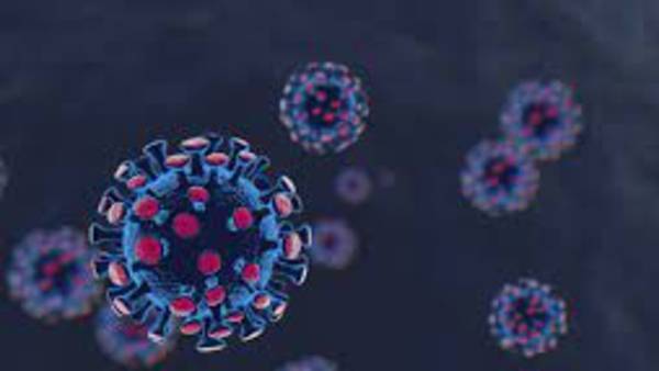 హాని కలిగిస్తున్న మరో మూడు కరోనా వేరియంట్స్ , ఆల్ఫా , బీటా .. ఇలా