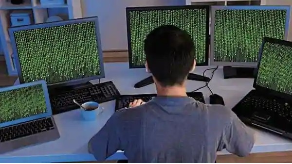 ప్రమాదాన్ని గుర్తించిన మయూర్ ప్రమాదాన్ని గుర్తించిన మయూర్