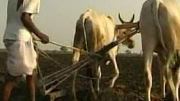 తప్పనిసరి పరిస్థితుల్లో... తప్పనిసరి పరిస్థితుల్లో...