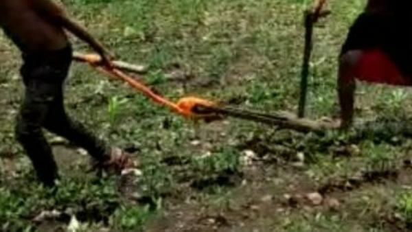 కుమారుడే కాడెద్దు... కుమారుడే కాడెద్దు...