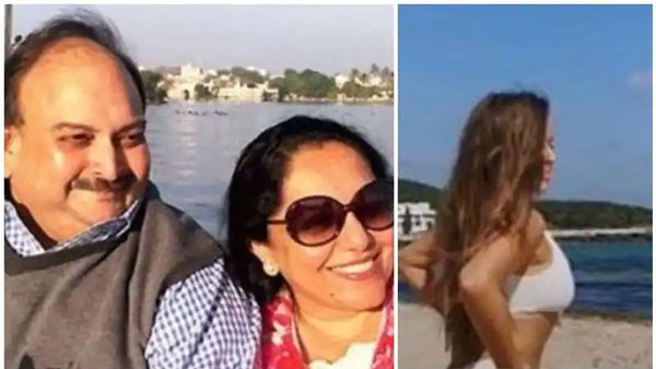 ఆమె మెహుల్ చోక్సీ ప్రియురాలు కాదన్న భార్య ప్రీతి