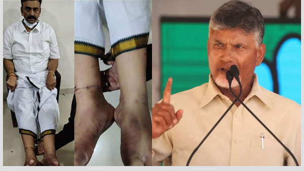 చంద్రబాబు స్ధానంలో ప్రతిపక్ష నేతగా రఘురామ చంద్రబాబు స్ధానంలో ప్రతిపక్ష నేతగా రఘురామ