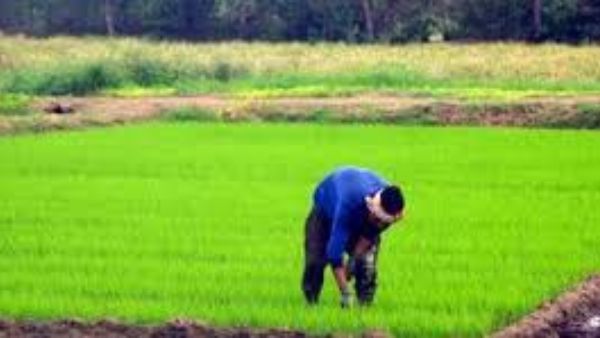 ఆందోళన వద్దు.. ఆందోళన వద్దు..