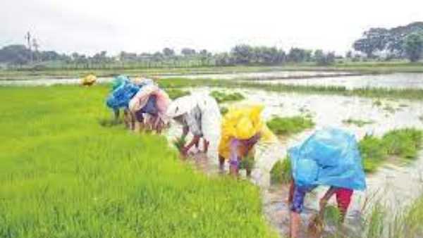 2018లో మొదలైన పథకం...