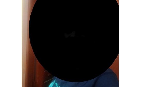 సహజీవనం చేస్తూ..