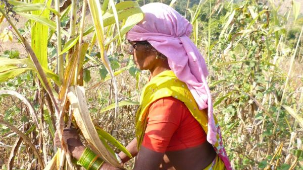గతంలో కాగజ్‌నగర్‌లో....