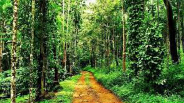 పోలీసులు ఏమంటున్నారు...