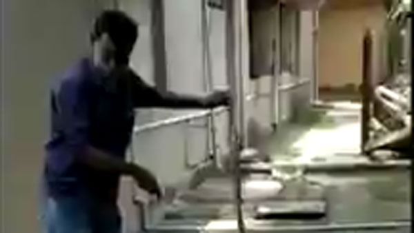 కుక్క అరవడంతో