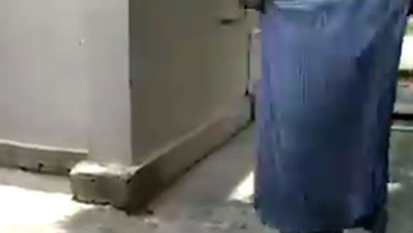 అడ్డుగా నిలిచిన పిల్లి