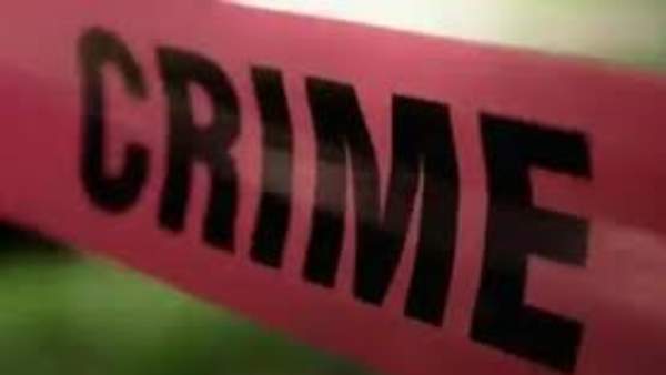  హస్తిపంజరం మాత్రం మిగిలింది