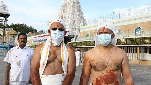 Koil Alwar Thirumanjanam performed in Tirumala by TTD today