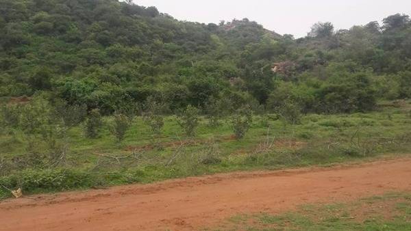 అక్రమాలు బయటికొస్తాయనే అక్రమాలు బయటికొస్తాయనే