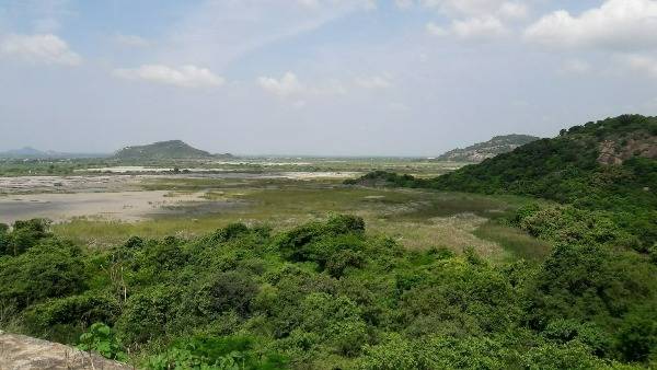 వైసీపీ, టీడీపీ పరస్పర ఆరోపణలు వైసీపీ, టీడీపీ పరస్పర ఆరోపణలు