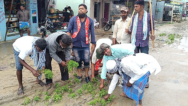  Coriander Plantation on the roads .. protest in the constituency of AP Roads,Buildings Minister 