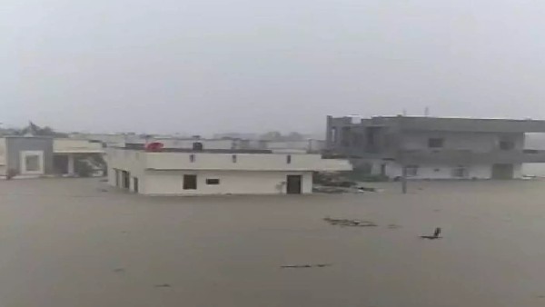 viral video: heavy rains in telangana, nirmal worst affected, fishing on roads, cm kcr calls min ik reddy