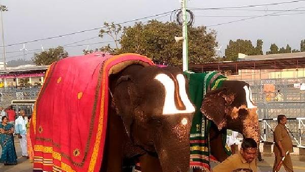 ప్రకృతికి ఏనుగుల అవసరం ఎందుకు