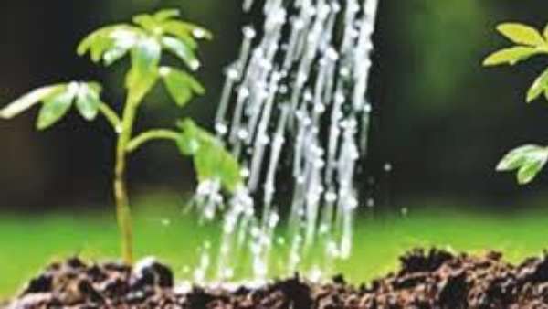 రాష్ట్ర వ్యాప్తంగా అన్ని జిల్లాలలోనూ మొక్కలు నాటనున్న మంత్రులు, ప్రజాప్రతినిధులు రాష్ట్ర వ్యాప్తంగా అన్ని జిల్లాలలోనూ మొక్కలు నాటనున్న మంత్రులు, ప్రజాప్రతినిధులు