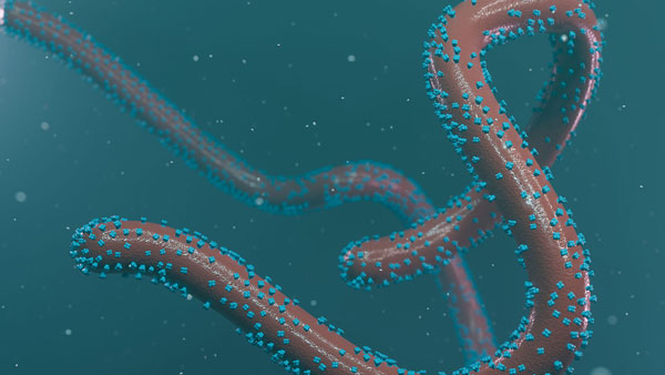 88 శాతం వరకు మరణించే ఛాన్స్..