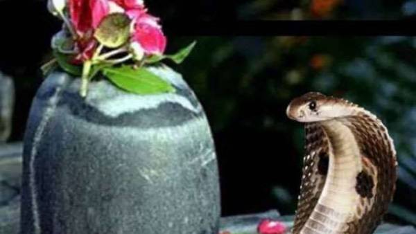  శ్రావణ శుక్రవారం నాగుల పంచమి రావటం విశేషం