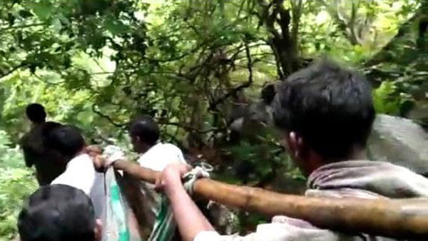 సౌకర్యాల లేమి వల్ల గాల్లో కలిసిపోతున్న గిరిజనుల ప్రాణాలు .. పాలకులూ పట్టించుకోండి