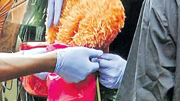 కోగంటి సత్యం పాత్రపై అనుమానాలు... కోగంటి సత్యం పాత్రపై అనుమానాలు...