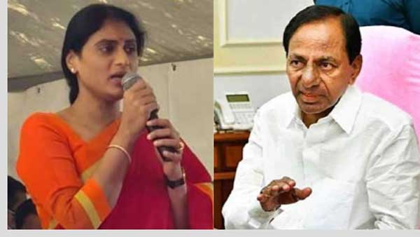 ఈ రాష్ట్రంలో ఎవరైనా సంపాదించుకున్నారంటే అది...