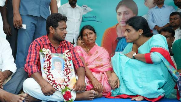 3 డీఎస్సీలు..