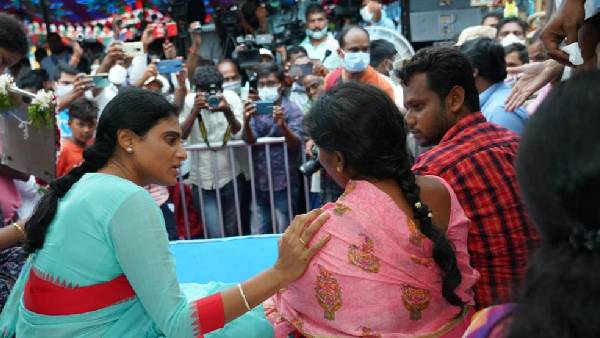 చీమ కుట్టినట్టు అయినా లేదు