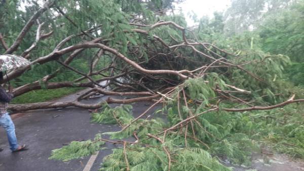 శ్రీకాకుళంలో వర్ష బీభత్సం .. విద్యుత్ సరఫరాకు అంతరాయం శ్రీకాకుళంలో వర్ష బీభత్సం .. విద్యుత్ సరఫరాకు అంతరాయం