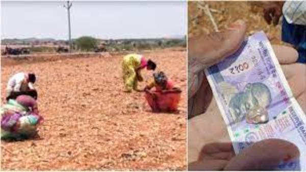 ఏపీలో వైఎస్సార్ కడప జిల్లాలో 37.65 చదరపు కిలోమీటర్ల పరిధిలో వజ్రాల గనులు