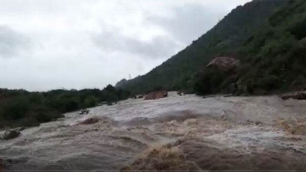 సీమ జిల్లాల్లో జలకళ సీమ జిల్లాల్లో జలకళ