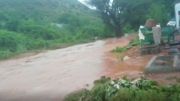 రుతుపవనాలు చురుగ్గా.. రుతుపవనాలు చురుగ్గా..