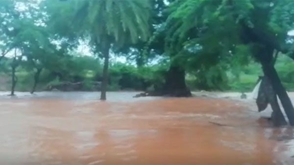 శనివారం కూడా.. శనివారం కూడా..